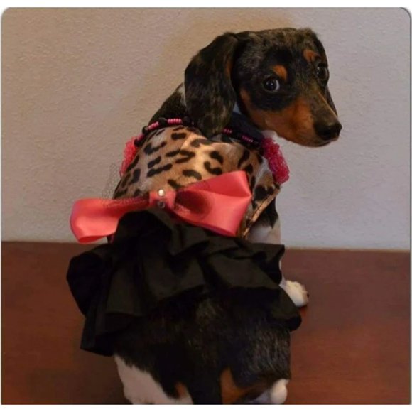 Dog Pet Dress Hoodie Costume, Dog Birthday Tutu Dog Princess Costume Pet Clothes - Picture 9 of 12